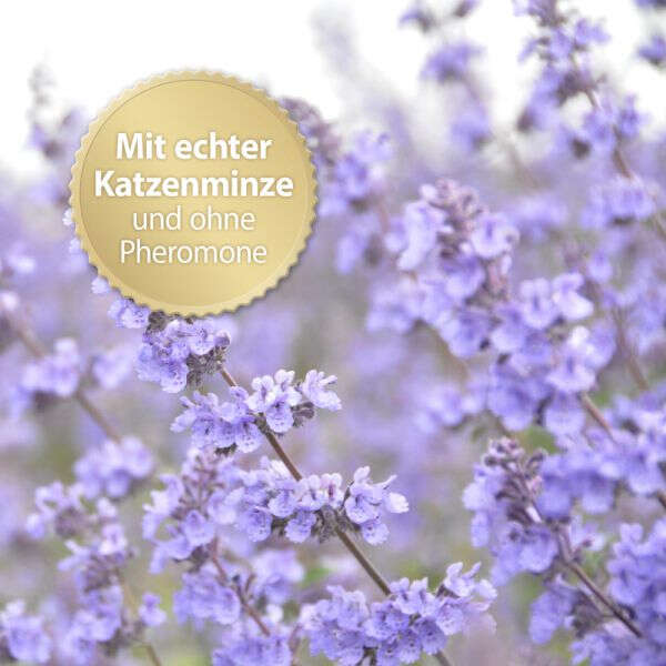 Felisept Home Comfort Nachfüllflakon für Katzen